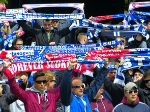 九游网页版官网-斯诺克史上最硬核的解球，没有之一，全场球迷看的目瞪口呆，斯诺克解球规则及玩法